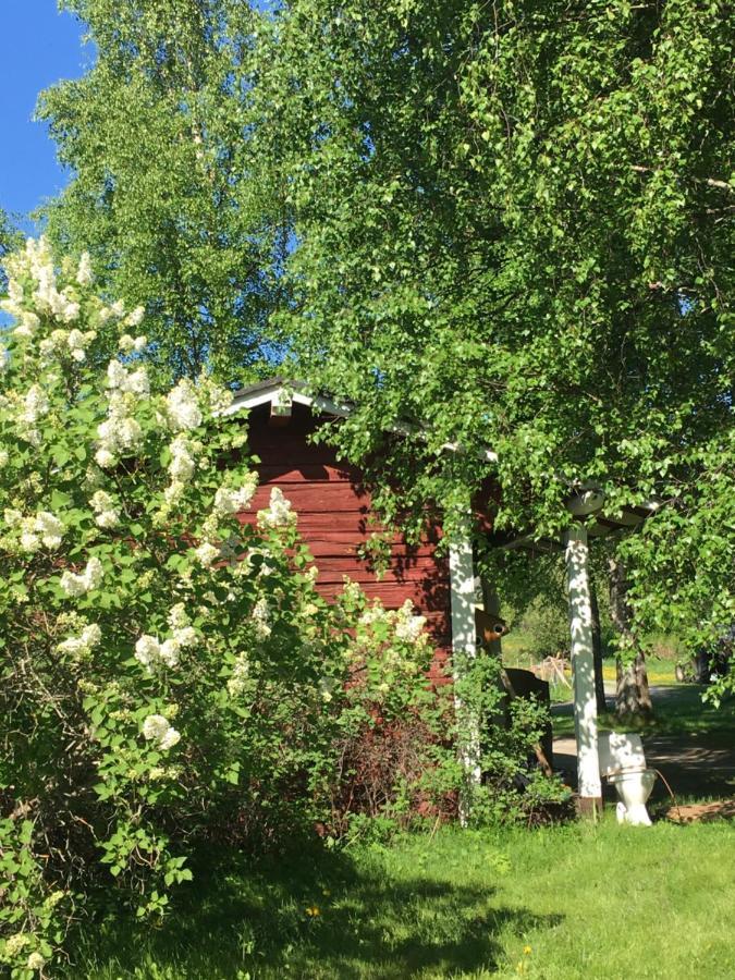 Alpstuga Ollila Rantamökit Kerimäki